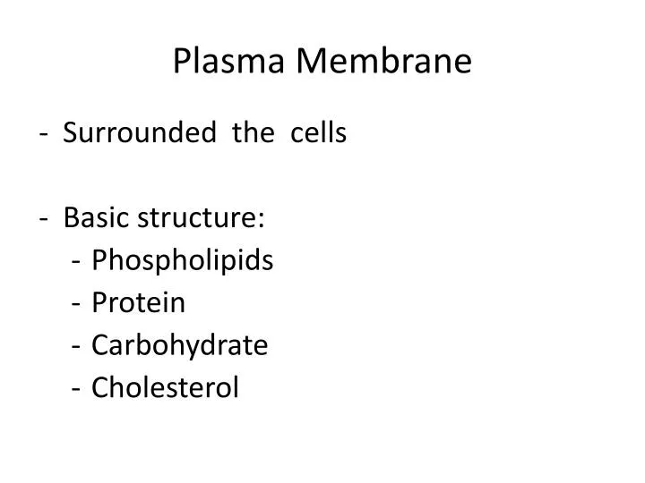 plasma membrane