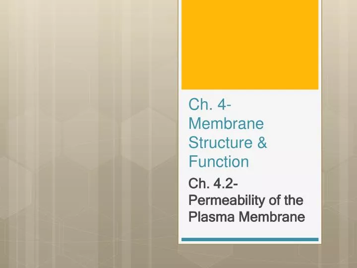 ch 4 membrane structure function