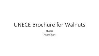 UNECE Brochure for Walnuts
