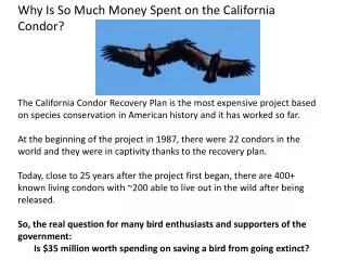 Why Is So Much Money Spent on the California Condor?