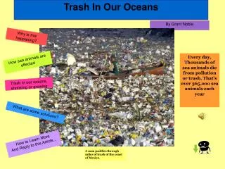 Trash In Our Oceans