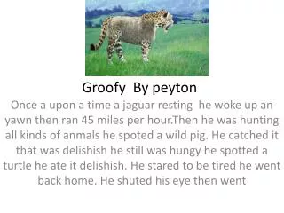 Groofy By peyton