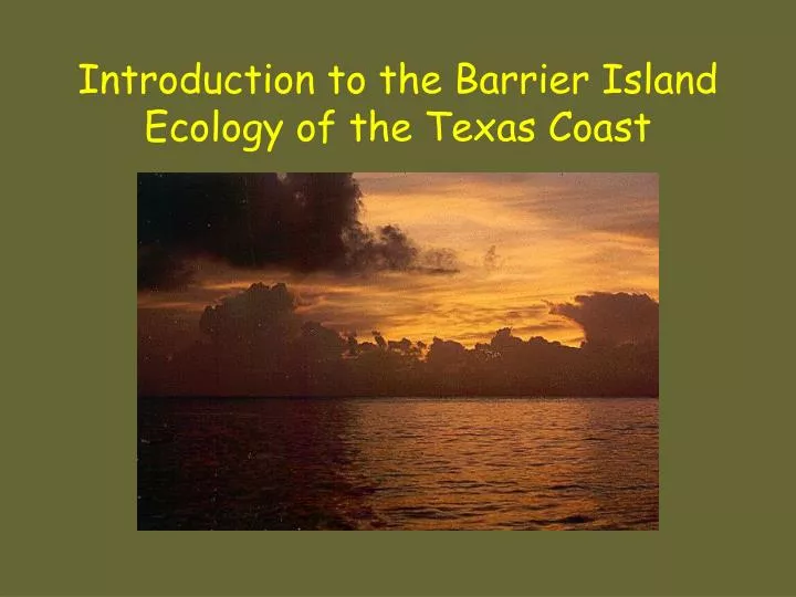 introduction to the barrier island ecology of the texas coast