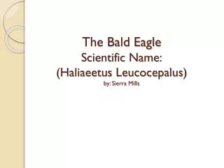 The Bald Eagle Scientific Name: (Haliaeetus Leucocepalus) by: Sierra Mills