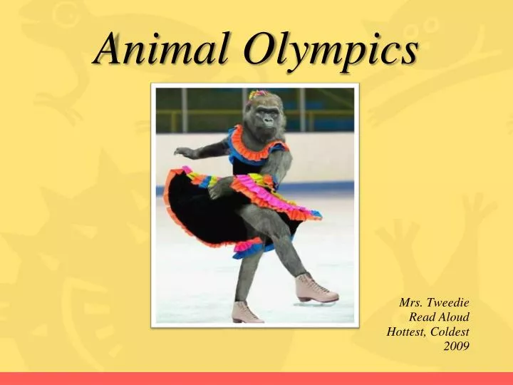 animal olympics