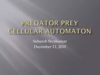 Predator prey cellular automaton