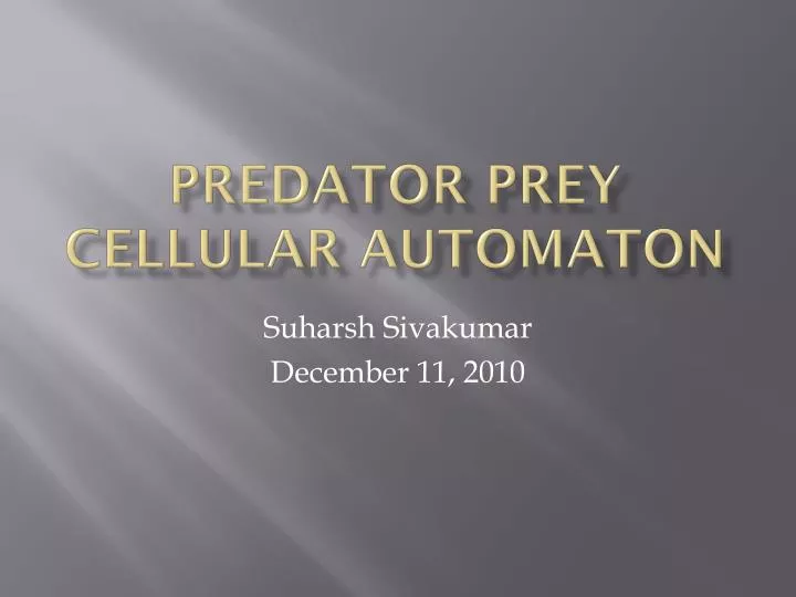 predator prey cellular automaton
