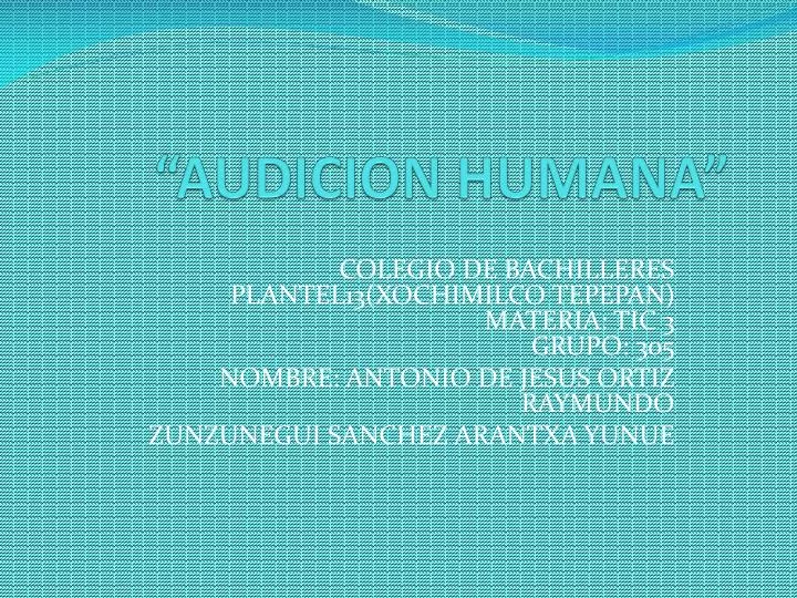 audicion humana