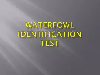 Waterfowl Identification Test