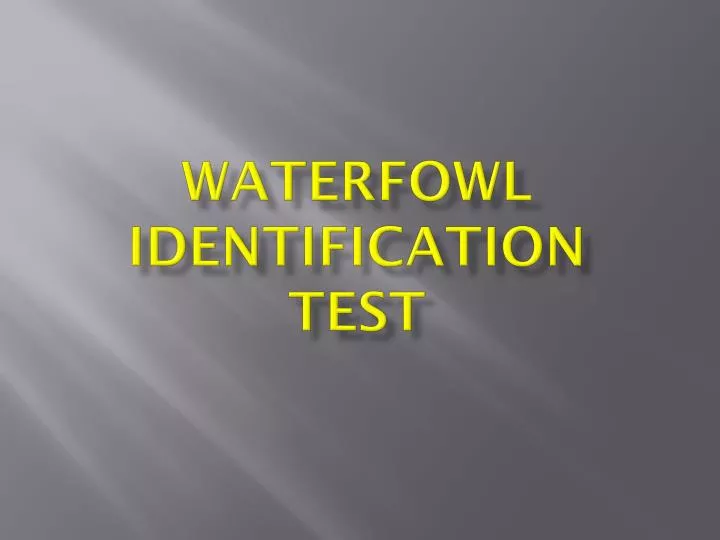 waterfowl identification test