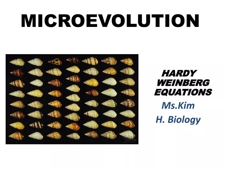 microevolution