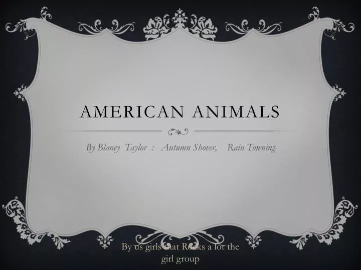 american animals