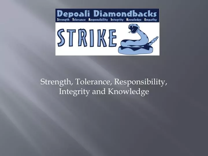 strength tolerance responsibility integrity and knowledge