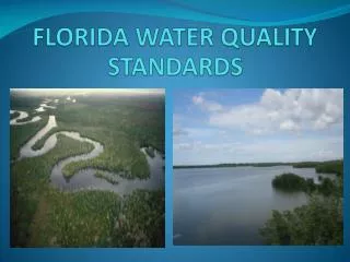 FLORIDA WATER QUALITY STANDARDS