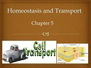 Homeostasis and Transport