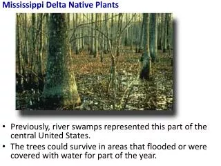 Mississippi Delta Native Plants