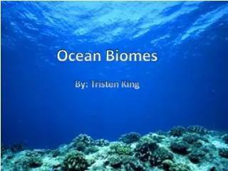 Ocean Biomes By: Tristen King