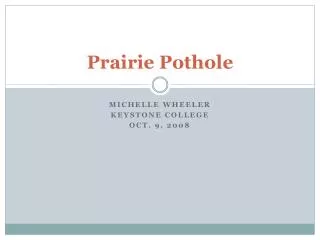 Prairie Pothole