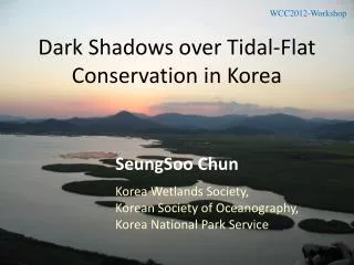 Dark Shadows over Tidal-Flat Conservation in Korea