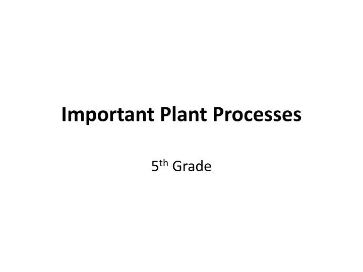 important plant processes