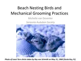 Beach Nesting Birds and Mechanical Grooming Practices