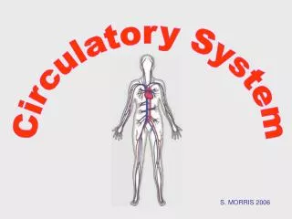 Circulatory System