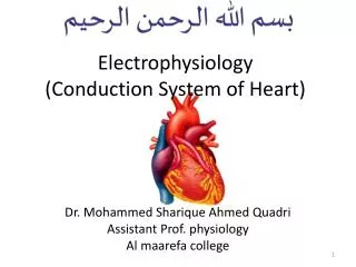 Electrophysiology ( Conduction System of Heart)