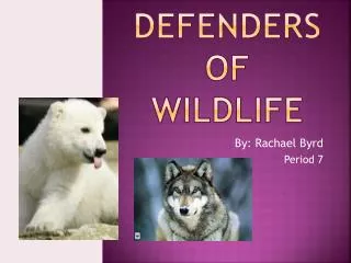 Defenders of wildlife