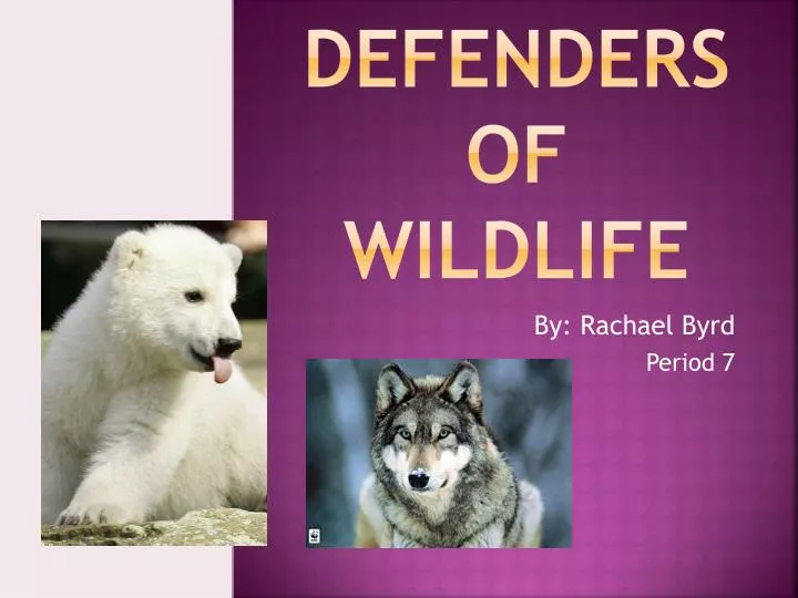 defenders of wildlife