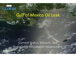 Gulf of Mexico Oil Leak