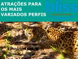 atra es para os mais variados perfis