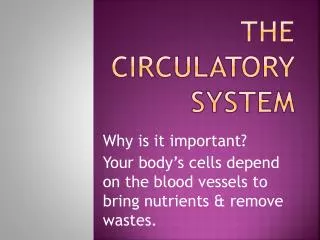 the circulatory system