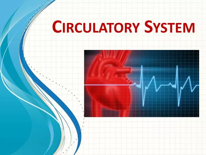 circulatory syste m