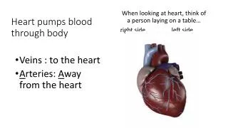 Heart pumps blood through body