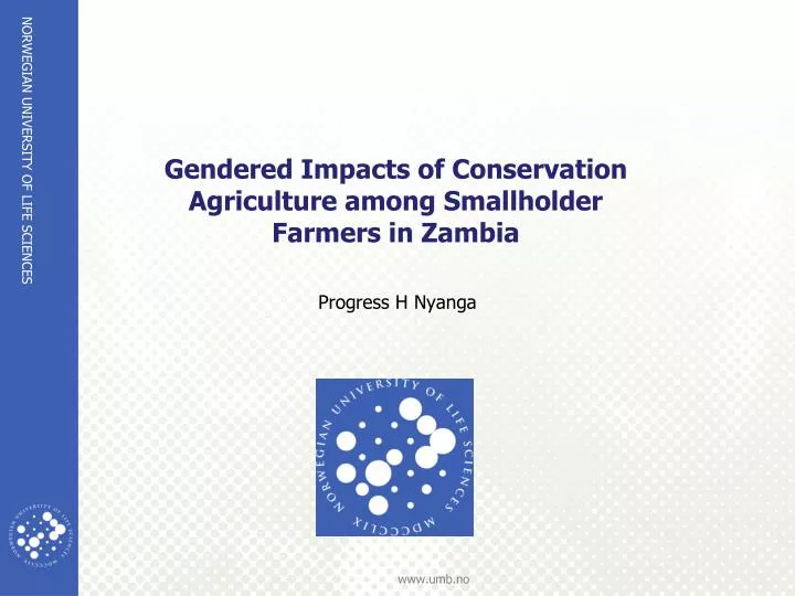 gendered impacts of conservation agriculture among smallholder farmers in zambia