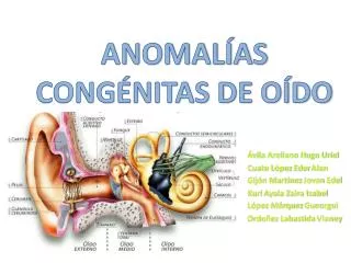 anomal as cong nitas de o do