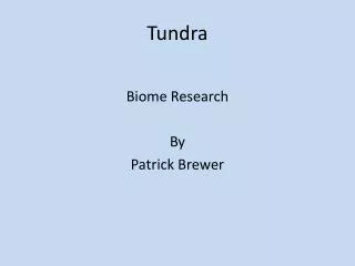 Tundra