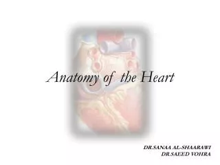 Anatomy of the Heart