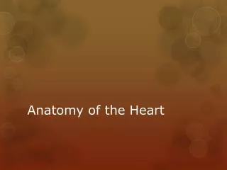 Anatomy of the Heart