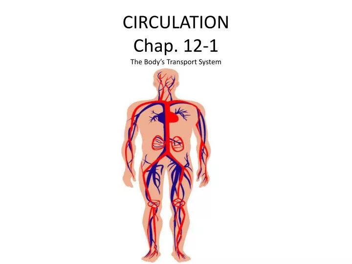 circulation chap 12 1 the body s transport system