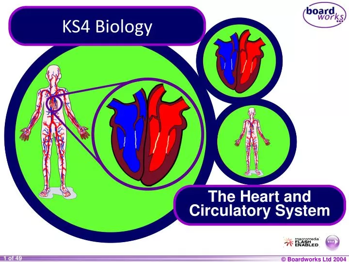 ks4 biology