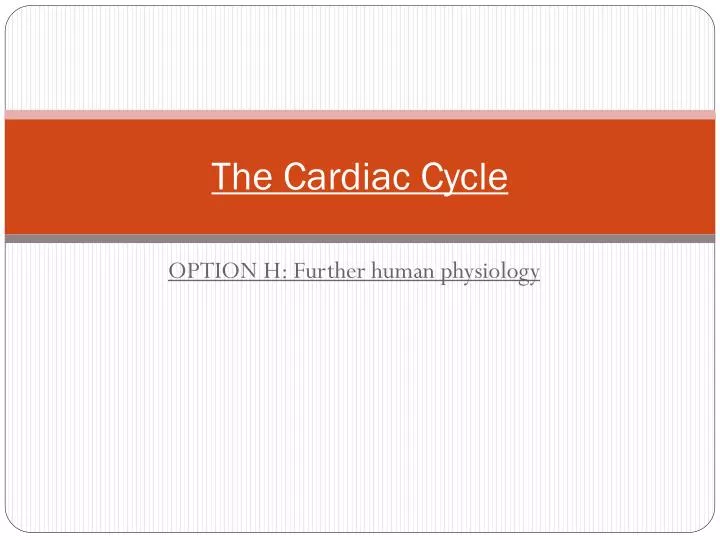 the cardiac c ycle