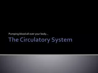 The Circulatory System