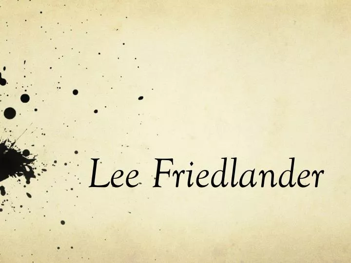 lee friedlander