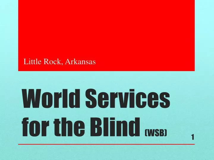 world services for the blind wsb