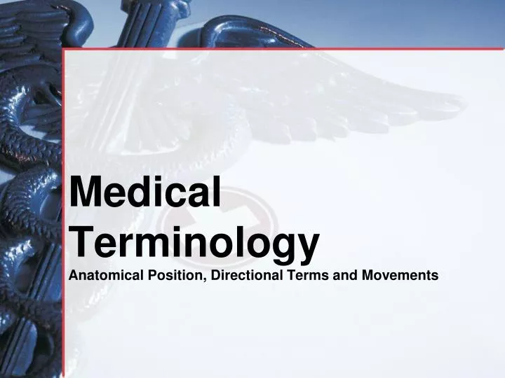 medical terminology anatomical position directional terms and movements