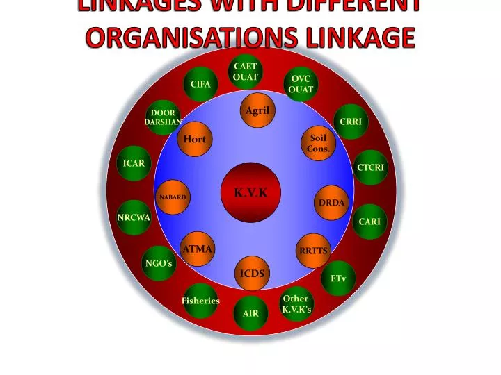 linkages with different organisations linkage