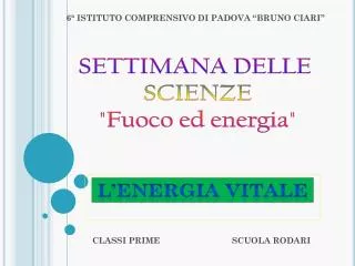 classi prime scuola rodari
