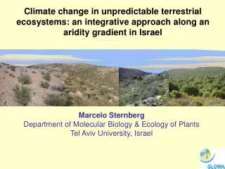 Marcelo Sternberg Department of Molecular Biology &amp; Ecology of Plants