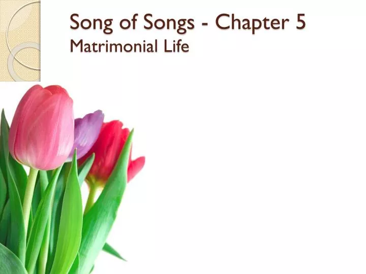 song of songs chapter 5 matrimonial life